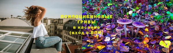 МДМА Пролетарск