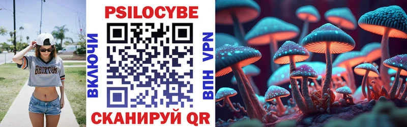 Псилоцибиновые грибы GOLDEN TEACHER Карачаевск